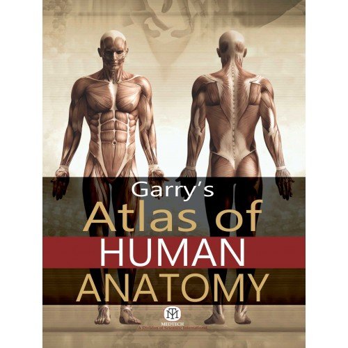Atlas of Human Anatomy - ReadMoreDXB