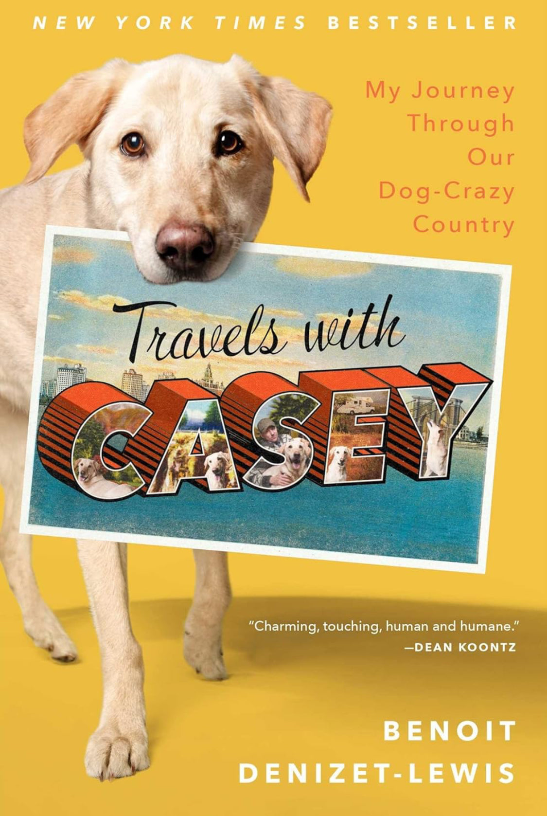 Travels With Casey - ReadMoreDXB