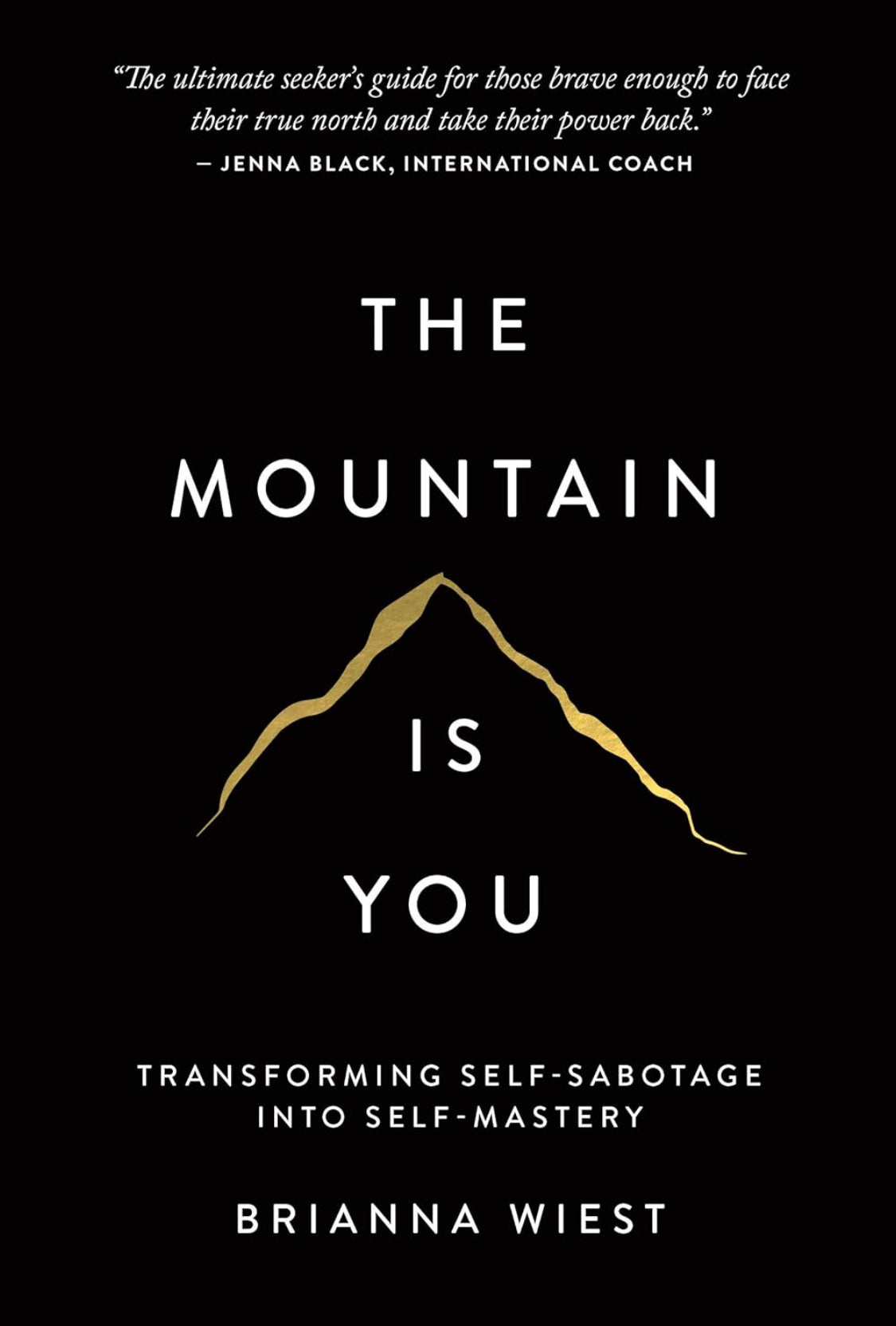 The Mountain Is You: Transforming Self-Sabotage Into Self-Mastery - ReadMoreDXB