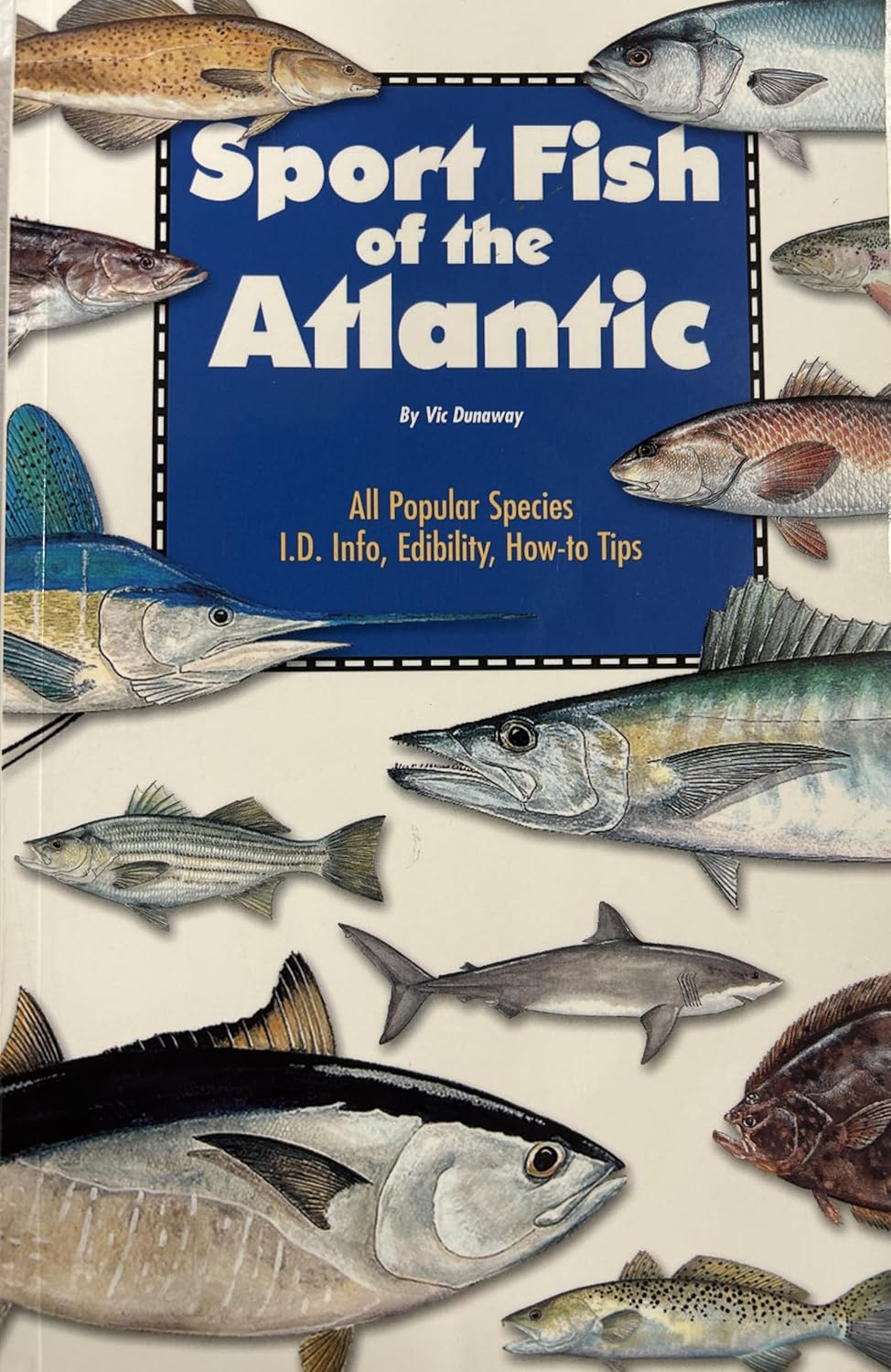 Sport Fish of the Atlantic - ReadMoreDXB