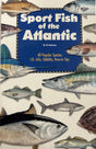 Sport Fish of the Atlantic - ReadMoreDXB