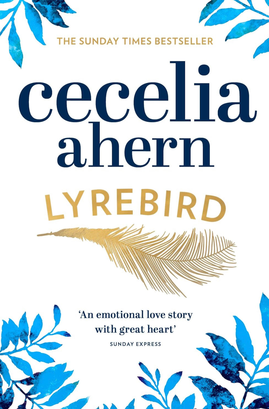 Lyrebird - ReadMoreDXB