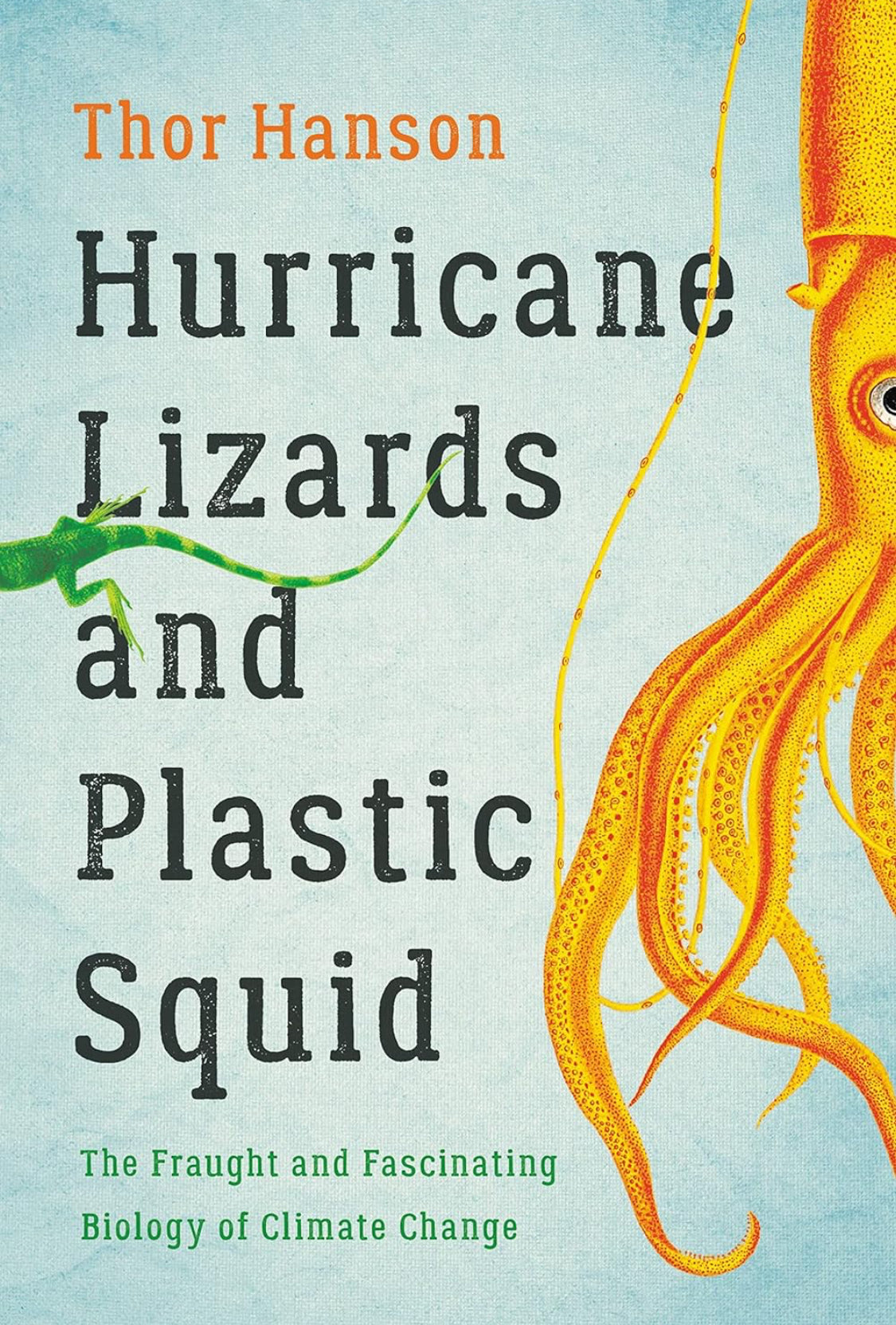 Hurricane Lizards and Plastic Squid - ReadMoreDXB