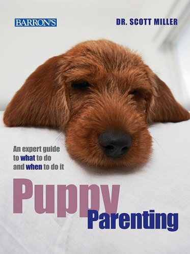 Puppy Parenting - ReadMoreDXB